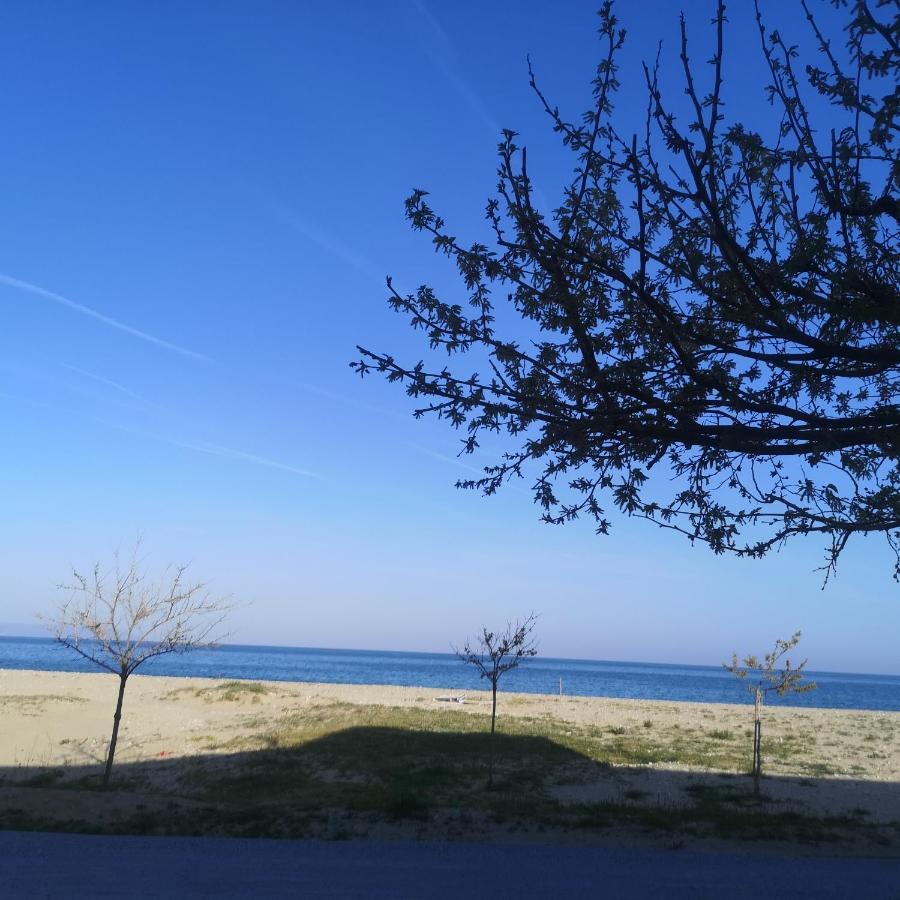 公寓 Greece Petalo *