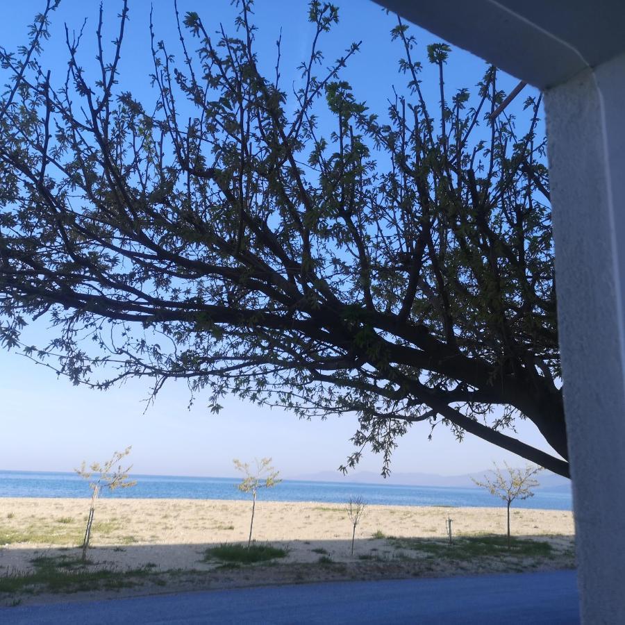 Greece Petalo Apartment Asprovalta