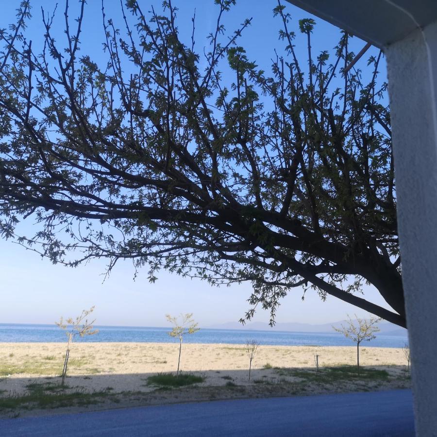 Apartment Greece Petalo Asprovalta