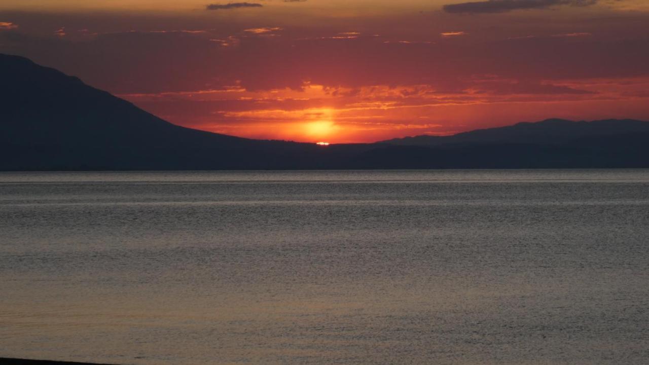 Greece Petalo *
